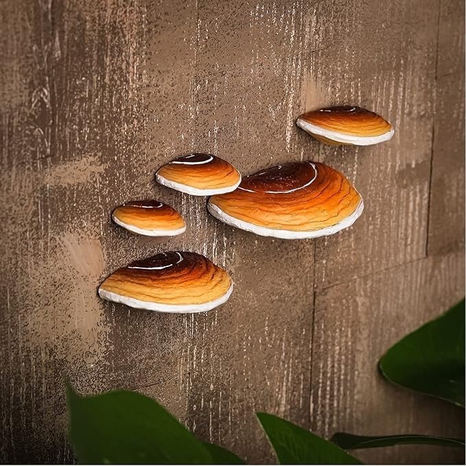 Set of 5 Mushroom Shelf Wall Decor – Adhesive Mini Resin Mushroom Floating Shelv