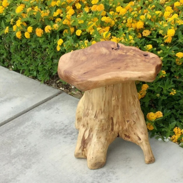 Cedar Root Natural Stool Mushroom Reclaimed Hard Side Table Stand Foot Wood End