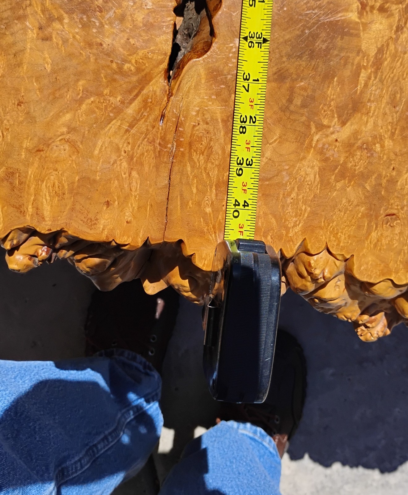 Birdseye Maple Burl Coffee Table Polished Golden Brown w/ Natural Base 3″ Thick