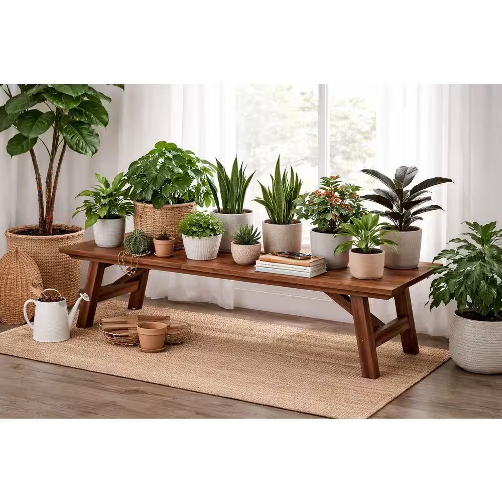 Rasmus 10 In. Height Acacia Wood Top Chestnut Wire-Brush Rectangular Plant Stand