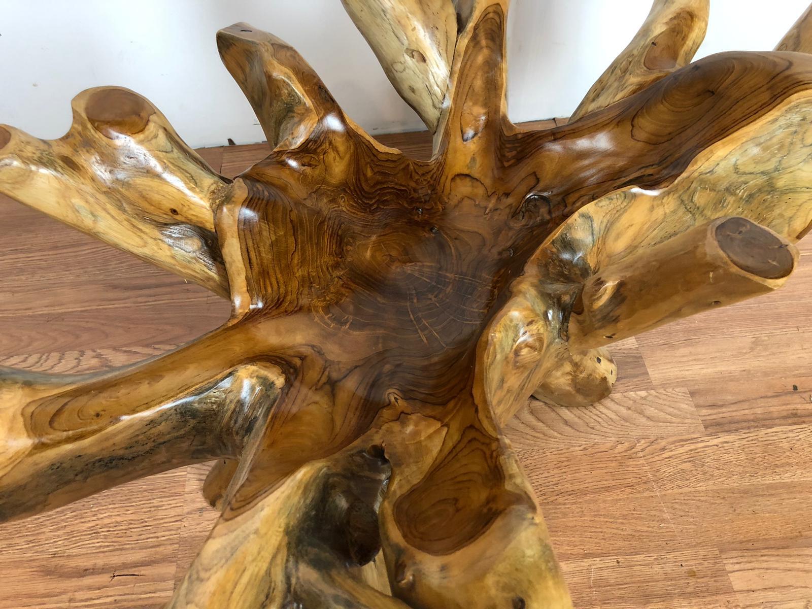 Teak root free form coffee table with beveled glass 43.5″ x 23.5″ TR02