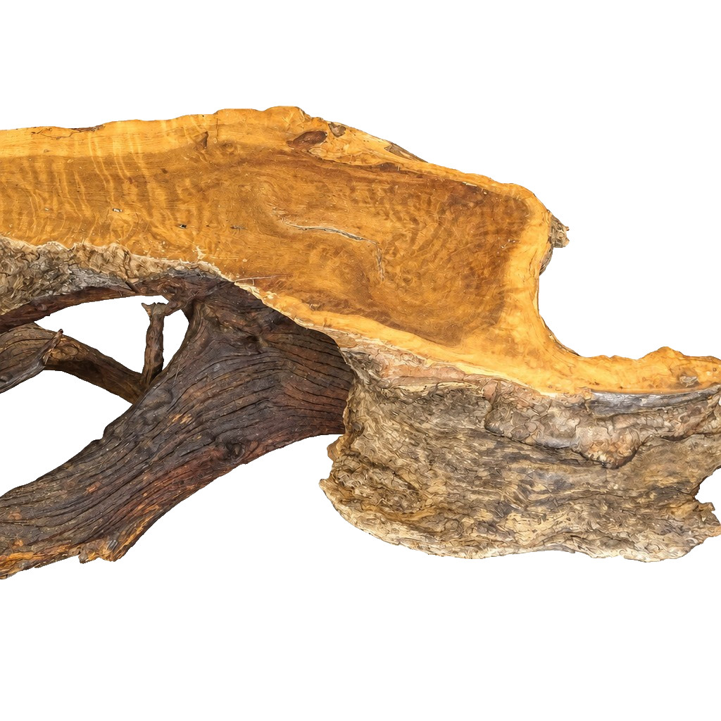 Custom Mid Century Modern Live Edge Burl & Root Coffee Table